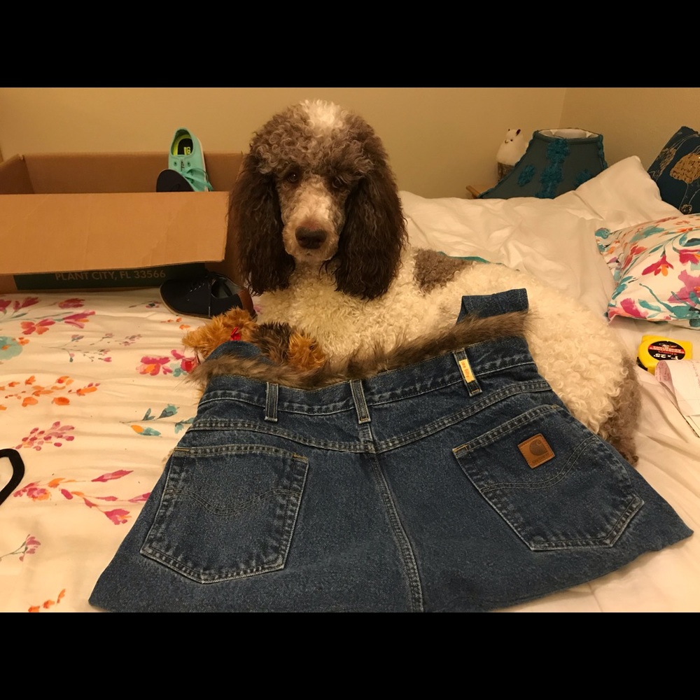 Dog Carrying Purse